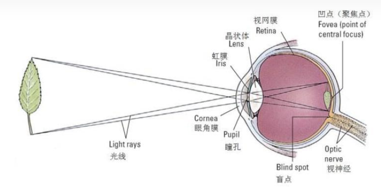 image-20230924214607735.png