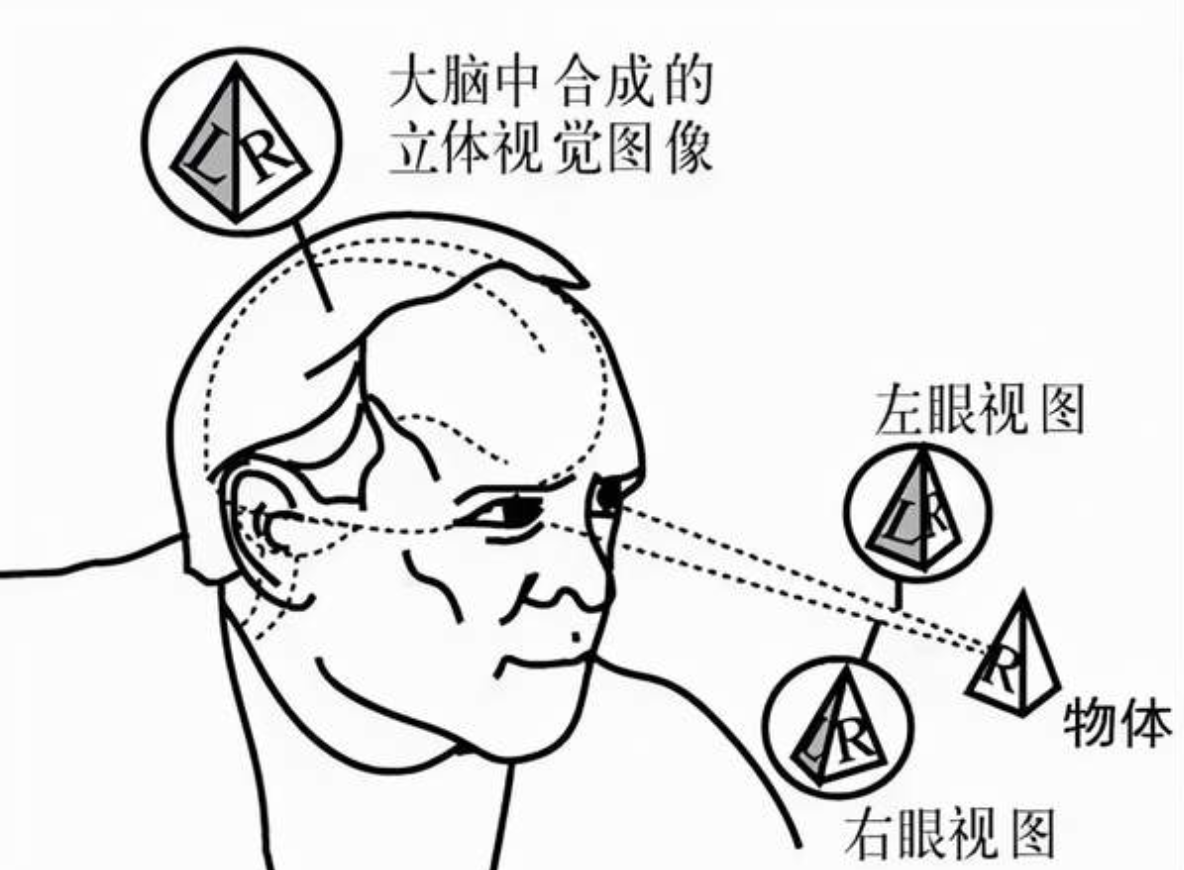 image-20231005140917472.png