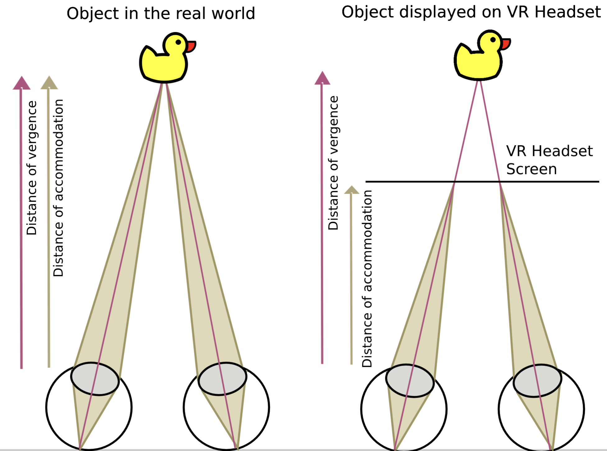 image-20231005163508901.png